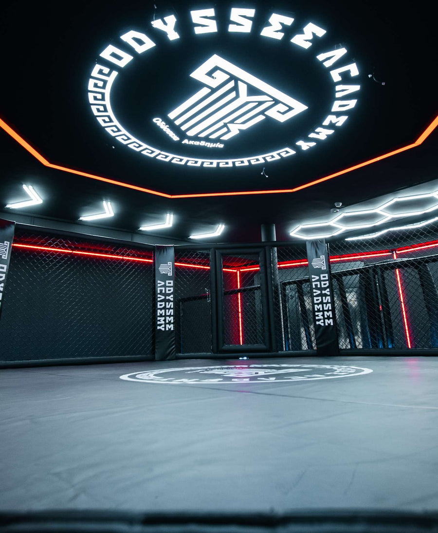 Cage MMA de la salle Odyssée Academy