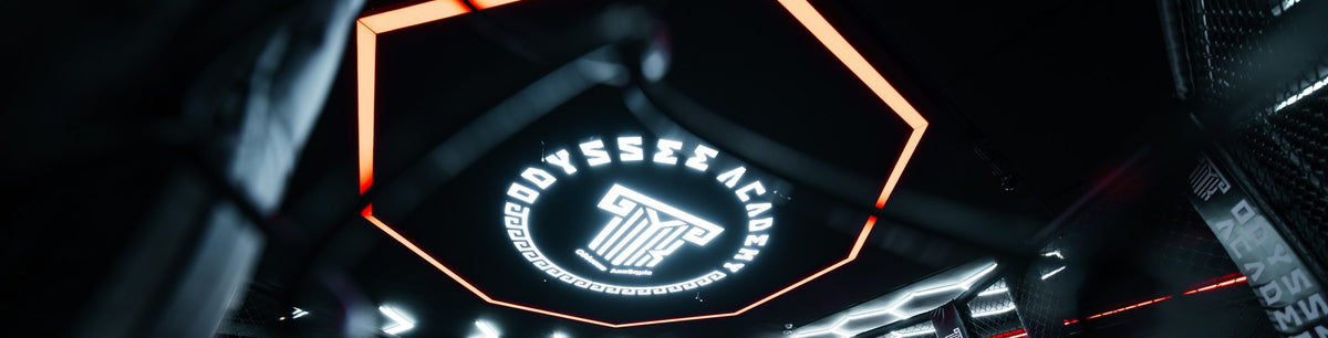 La cage MMA d’Odyssée Academy
