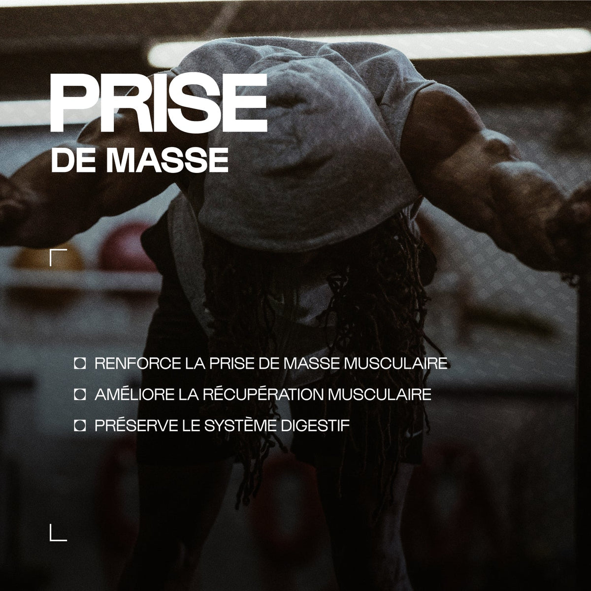 Musclemasse - Hard Gainer, vue 2