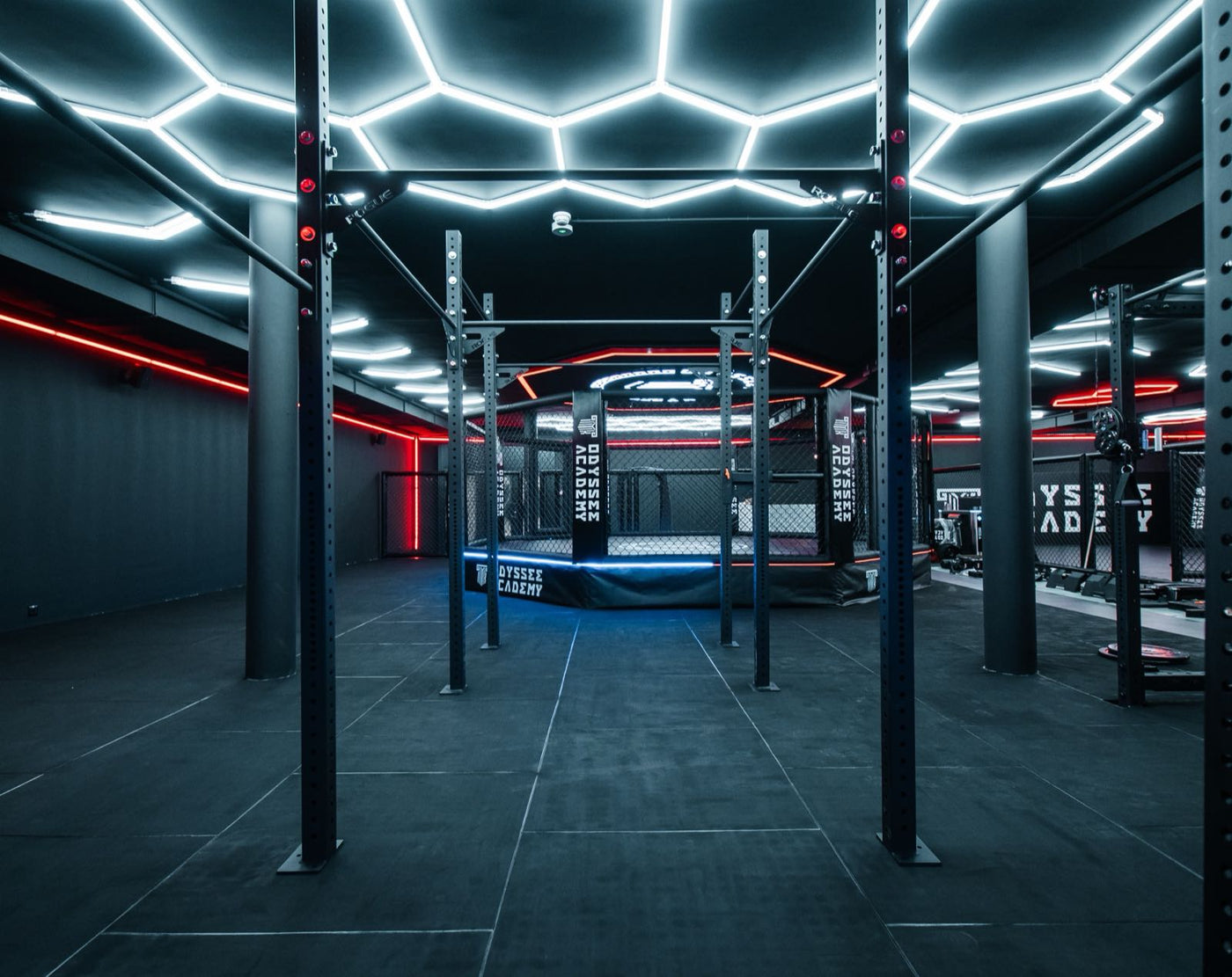 Salle Odyssée Academy, rig de suspension et cage MMA